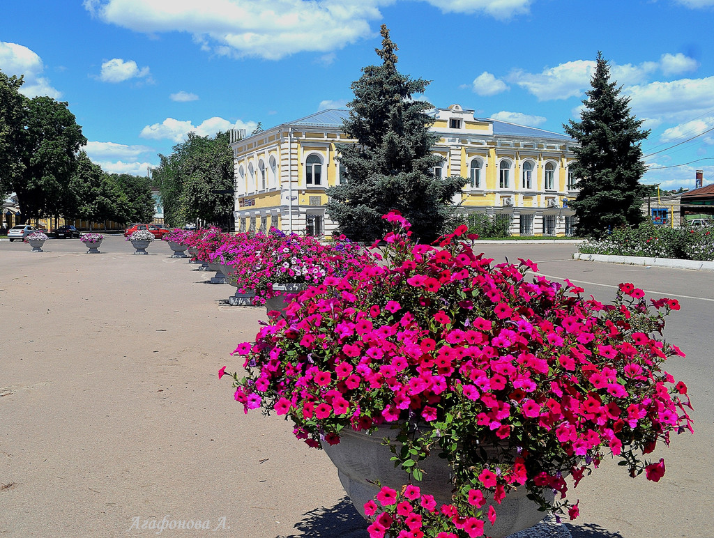 Богучар набережная фото