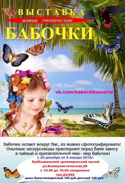 Выставка живых бабочек в Куйбышеве!