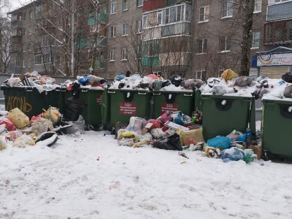 Вологодские активисты ОНФ выявили нарушения при вывозе мусора в Череповце