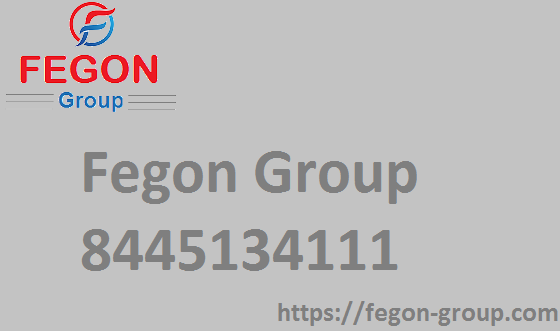 Fegon Group | Providing Best Network Security Solutions | 8445134111