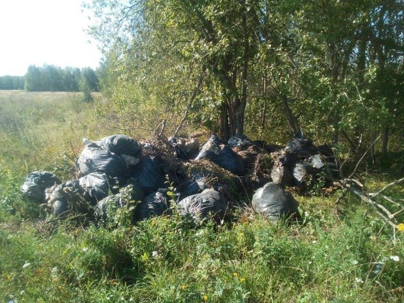 ОНФ в Мордовии просит администрацию Темниковского района ликвидировать несанкционированные свалки