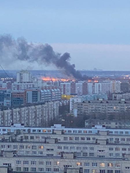 Сидеть дома и задыхаться гарью: в Петербурге опять горят свалки