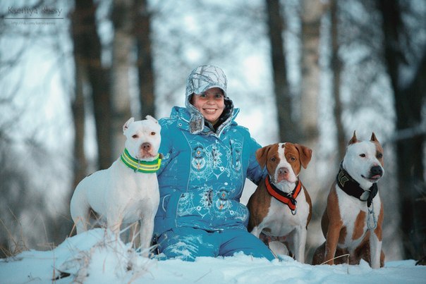Олеся Борисенко из Петербурга и её выдающаяся собака с непростой судьбой приняли участие в дог-шоу ТВ-3