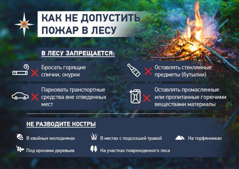 Щелковское ТУ ГКУ МО «Мособлпожспас» предупреждает- Берегите лес от пожара!
