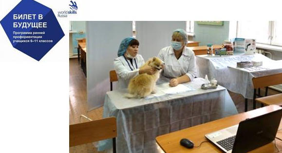 Российские старшеклассники в ХГУ попробовали себя в роли ветеринарных фельдшеров
