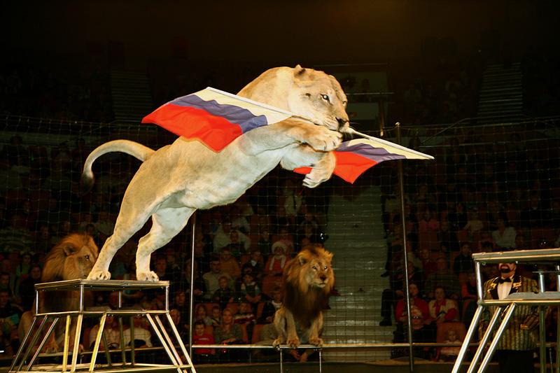 Россияне поддерживают заботу о животных в цирке