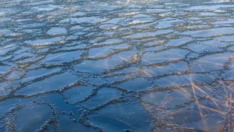 Жителей Подмосковья предупредили о слишком тонком слое льда на некоторых водоёмах и реках