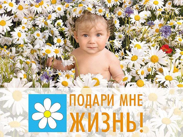 На Кубани с 1 по 8 марта пройдет акция «Подари мне жизнь!»