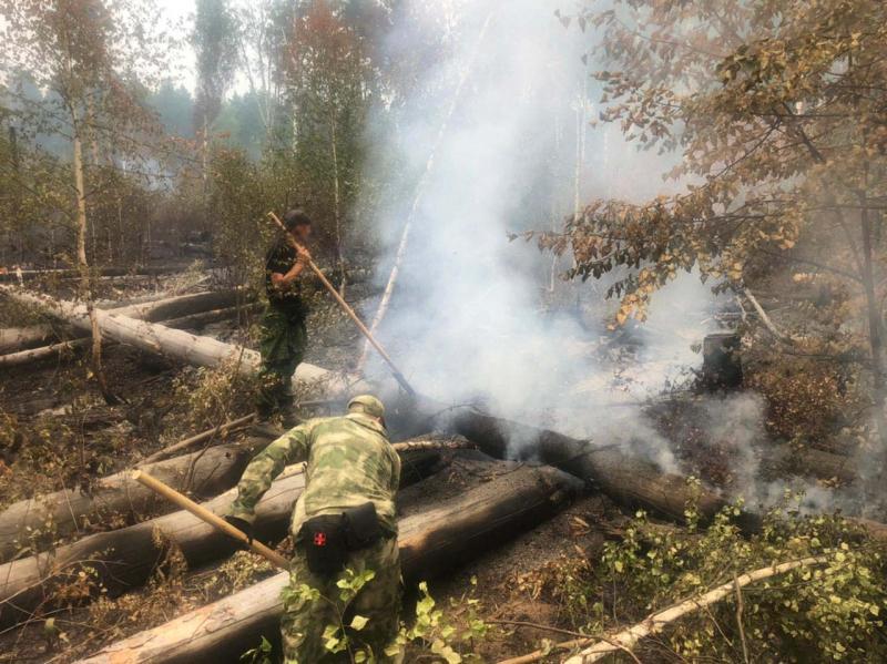 Военнослужащие и сотрудники Росгвардии продолжают бороться с лесными пожарами в Темниковском районе Республики Мордовия