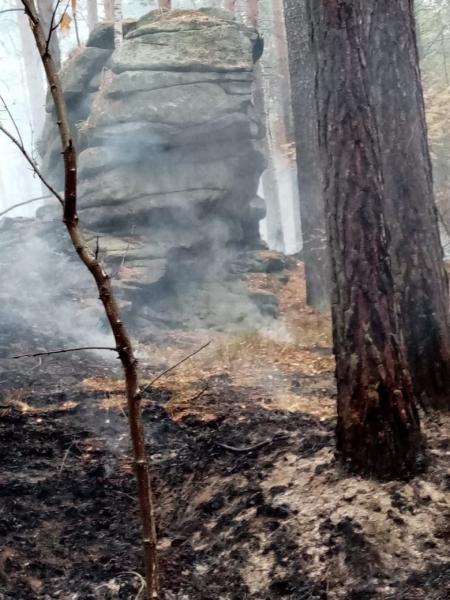 Кто тушит лесные пожары под Екатеринбургом. История волонтера