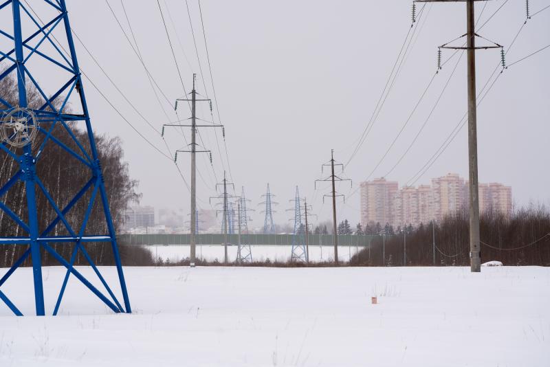 Садоводы благодарят энергетиков восточного филиала компании «Россети Московский регион»