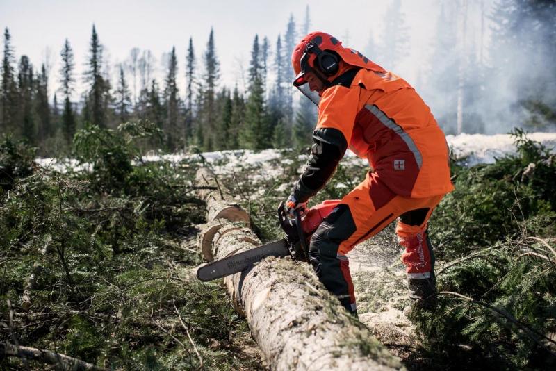 Влияют ли погодные и климатические условия на эффективность работ при валке леса