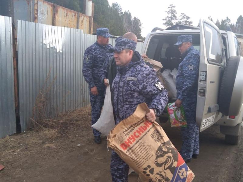 Росгвардейцы оказали помощь приюту для бездомных животных в Иркутской области