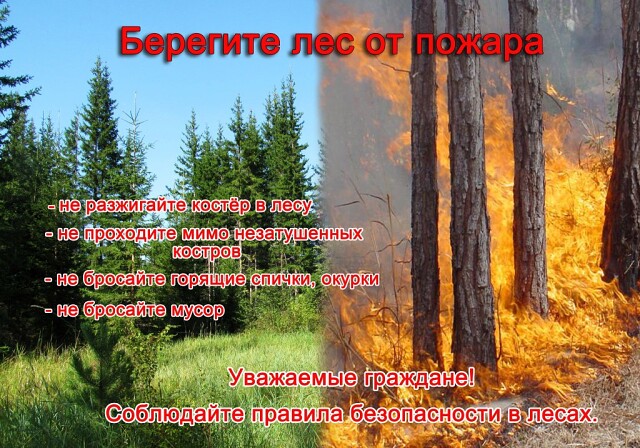 Пал травы приводит к лесным пожарам.