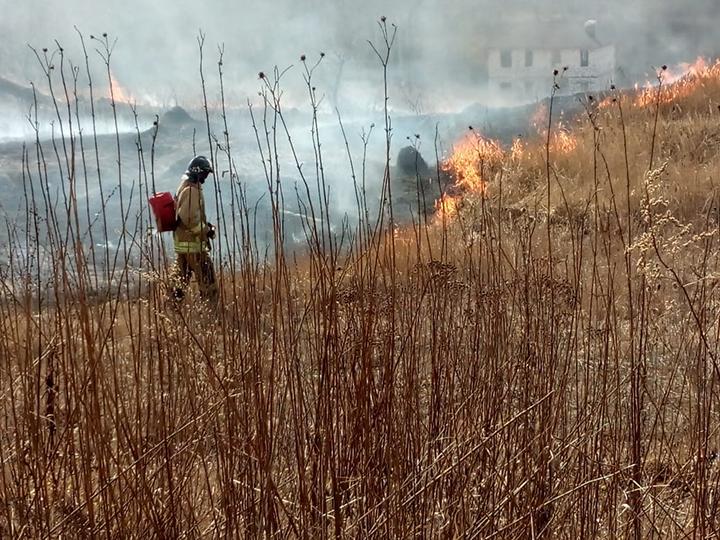 Пожарные ГКУ МО «Мособлпожспас» потушили 24 возгорания сухой травы за сутки