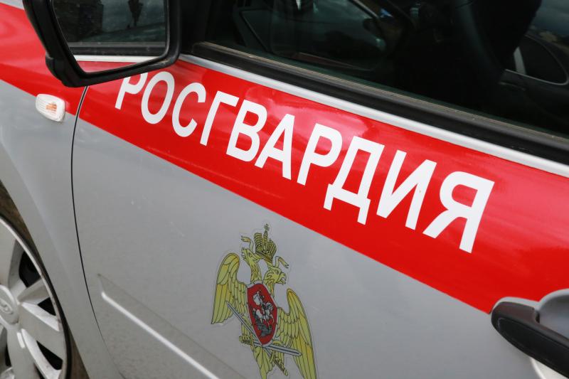 В Мордовии росгвардейцы совместно с сотрудниками ГИБДД задержанли пьяного водителя