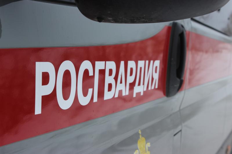 За минувшие сутки сотрудники вневедомственной охраны Челябинска задержали пятерых подозреваемых в различных преступлениях