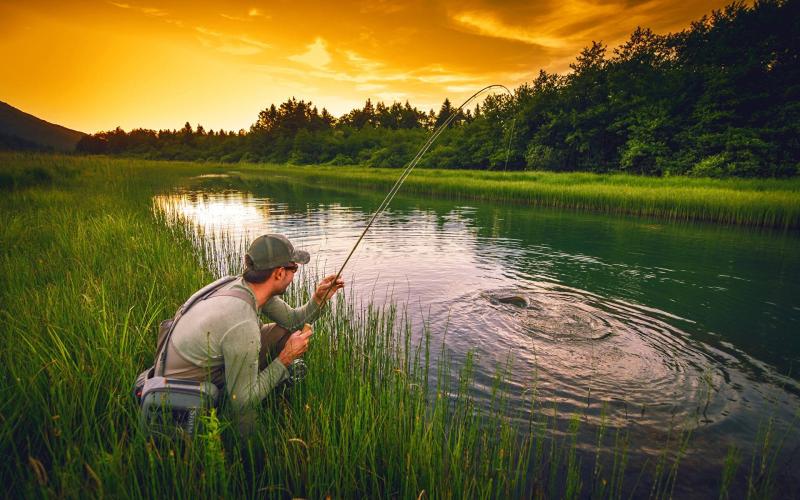Группа «Родина»: 70% мужчин ходят на рыбалку, чтобы отдохнуть от дома – опрос