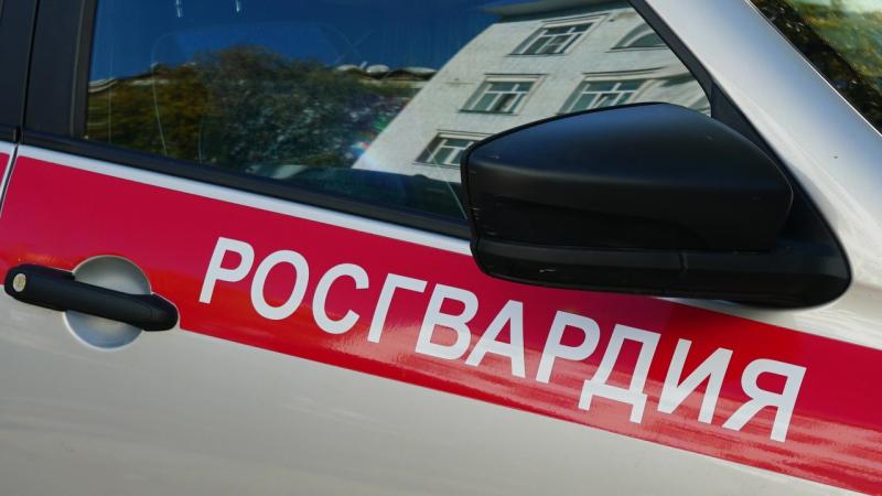 В Кирове росгвардейцы задержали граждан, подозреваемых в кражах