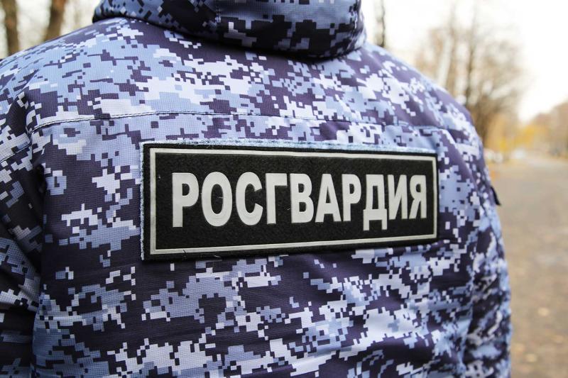 В Рузаевке росгвардейцы задержали нетрезвого виновника ДТП