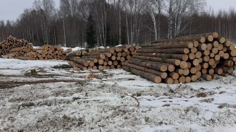 Более 5,5 тыс. кв. метров плодородной почвы в Кривошеинском районе завалено лесоматериалом