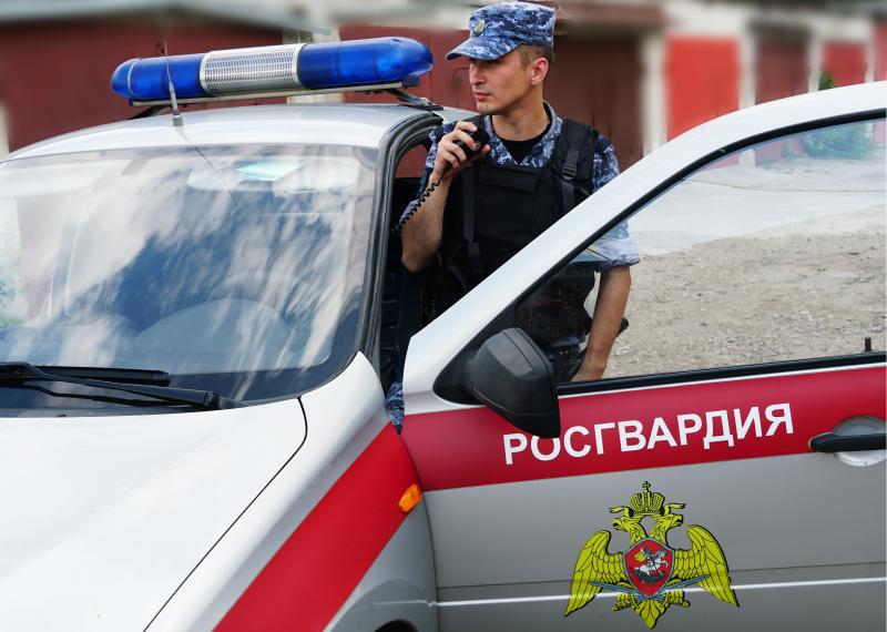 Ульяновские росгвардейцы задержали гражданина, подозреваемого в краже