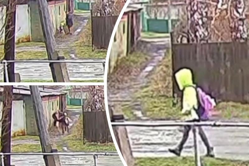 Местные жители поймали подозреваемого в насилии над маленькой девочкой под Новосибирском